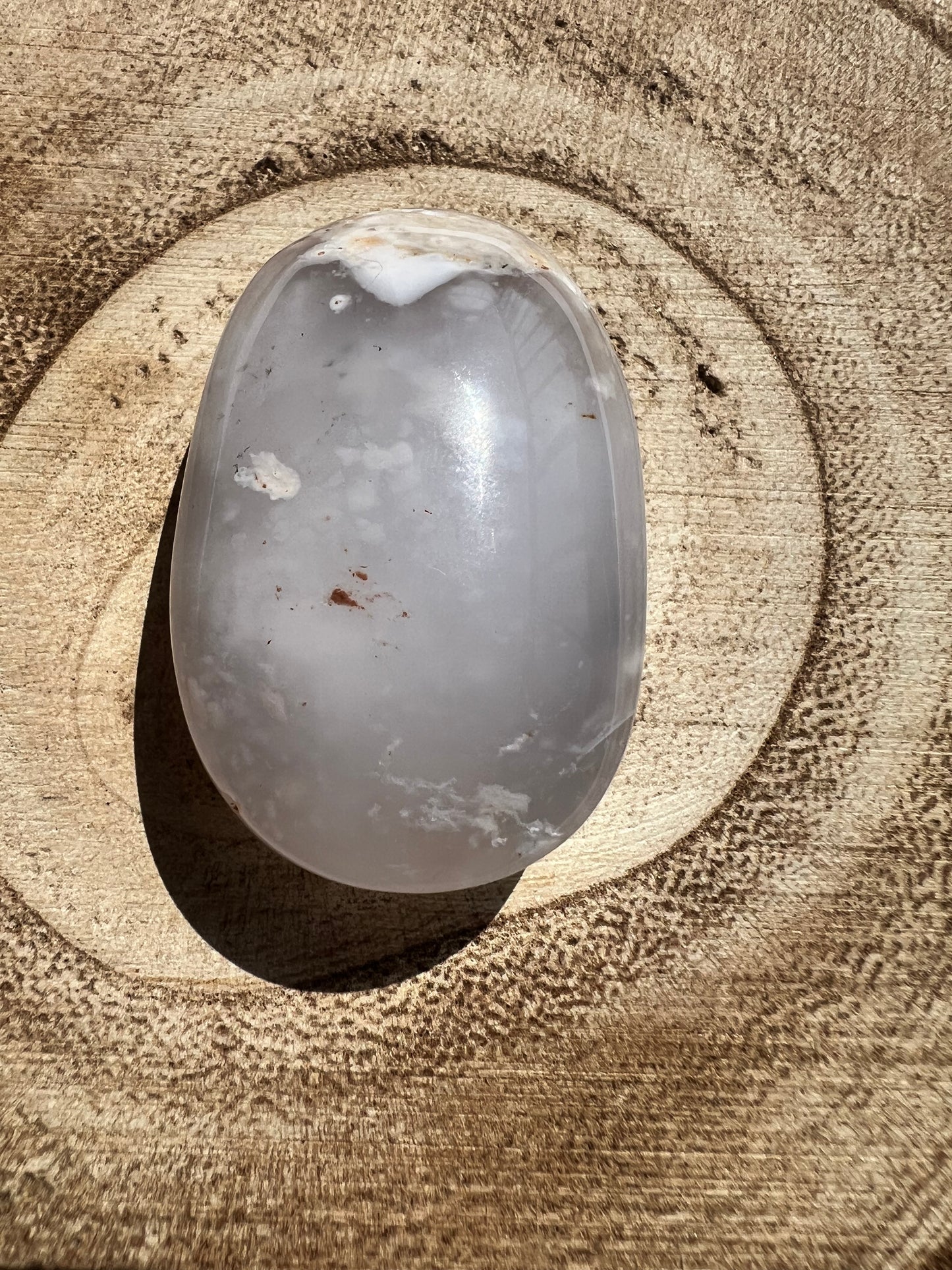 Piedra de Palma/Palm Stone de Ágata Dendrítica
