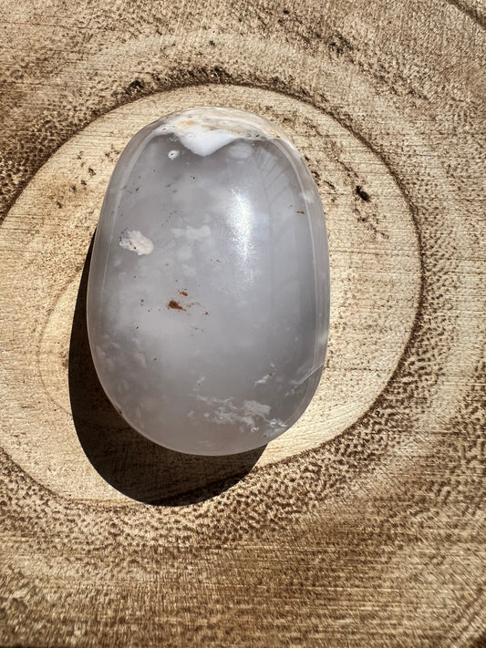 Piedra de Palma/Palm Stone de Ágata Dendrítica